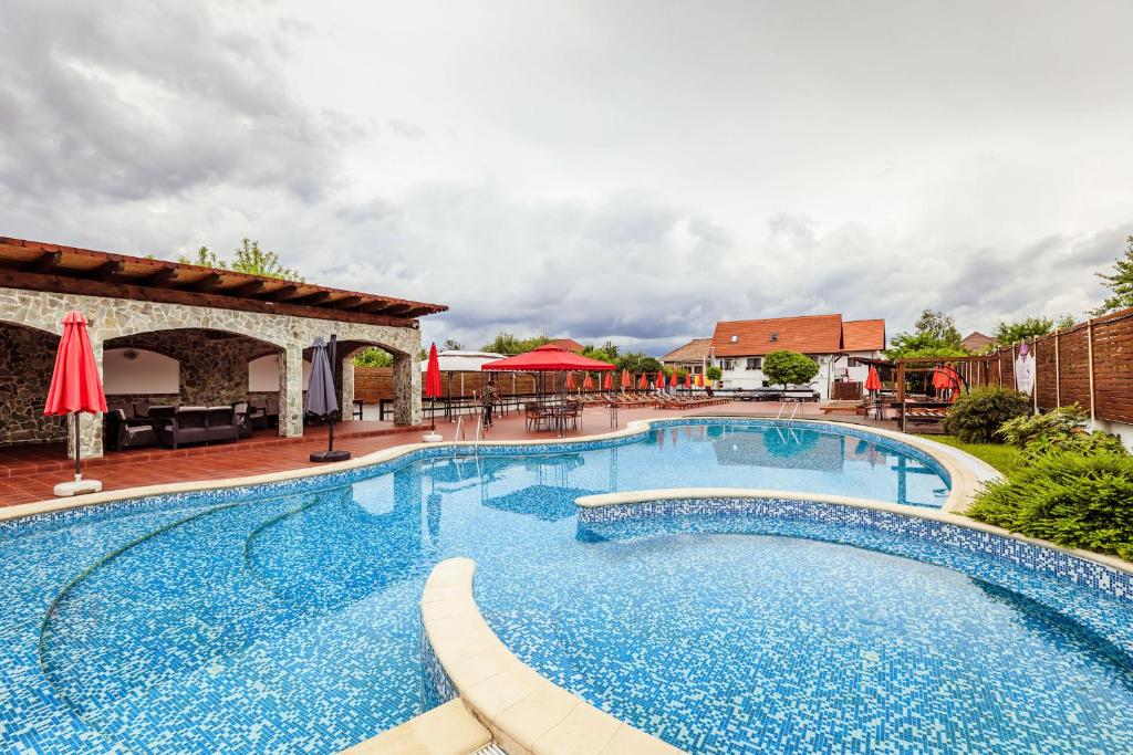 a large swimming pool with blue water at Pensiunea Iris in Turcineşti
