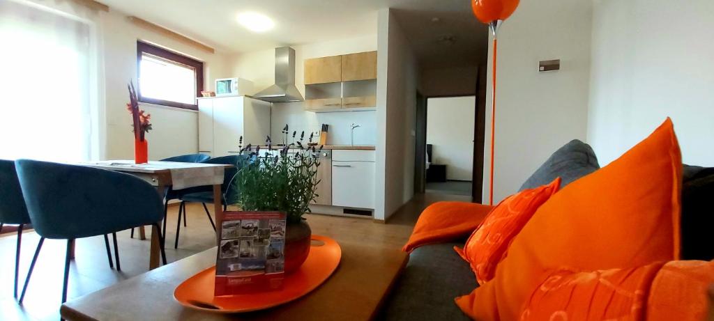 Kuchyň nebo kuchyňský kout v ubytování Ski Vital Apartments
