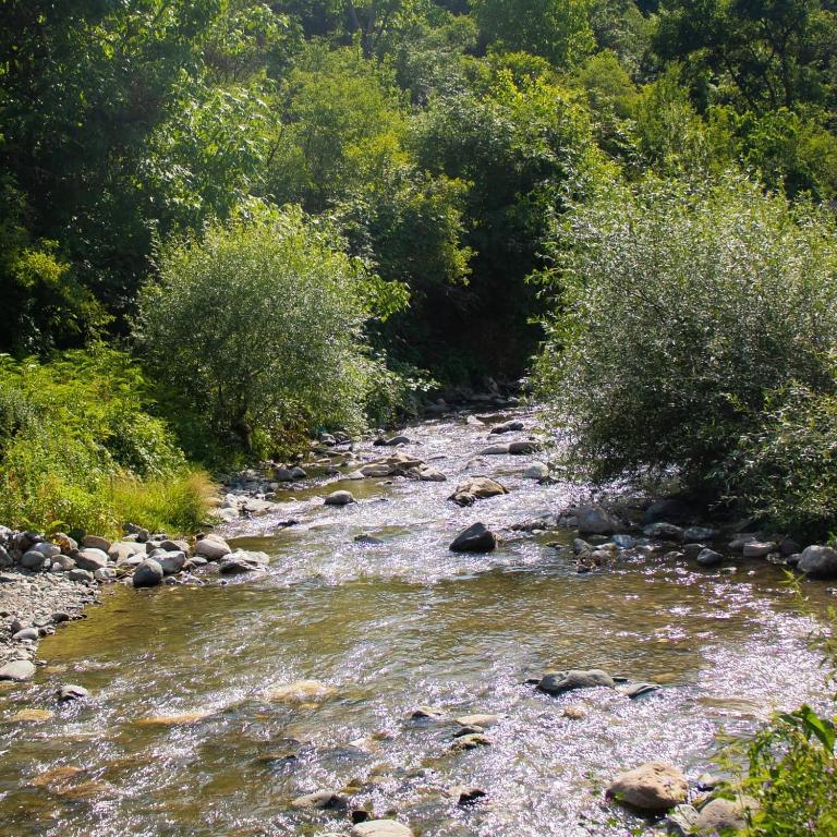 Spitak Tun
