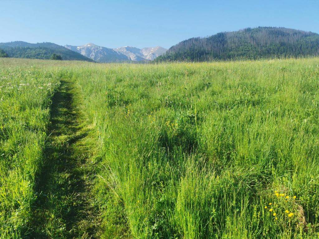 Príroda v okolí apartmánu