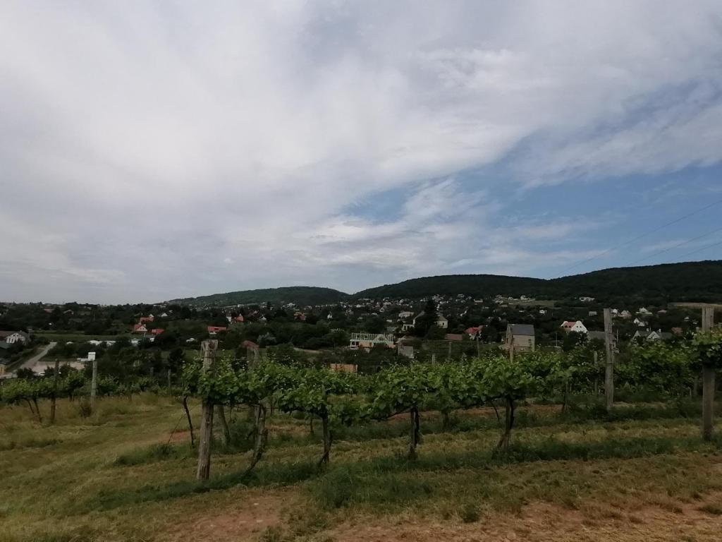 Příroda nedaleko prázdninového domu