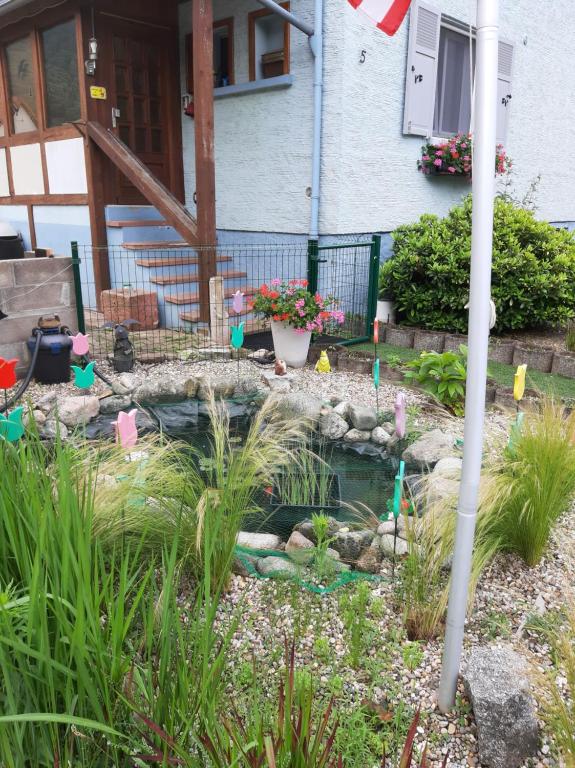 Gîte les chiwawas d'Alsace – photo 19