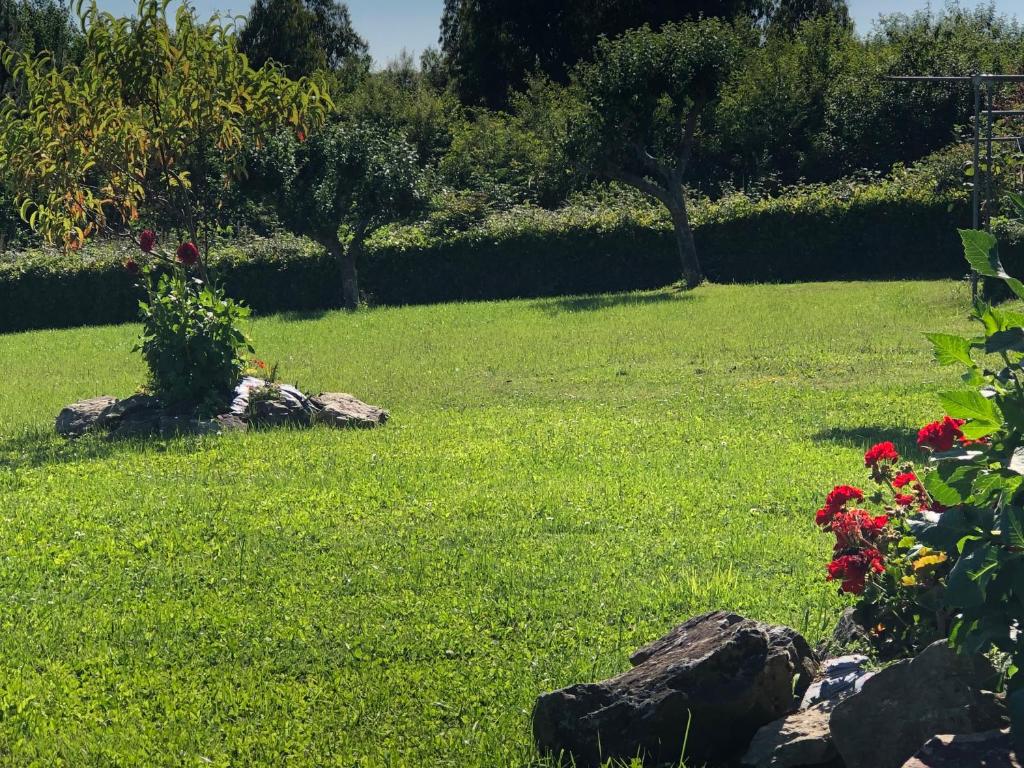 Zahrada ubytování VUT Rural - Boente