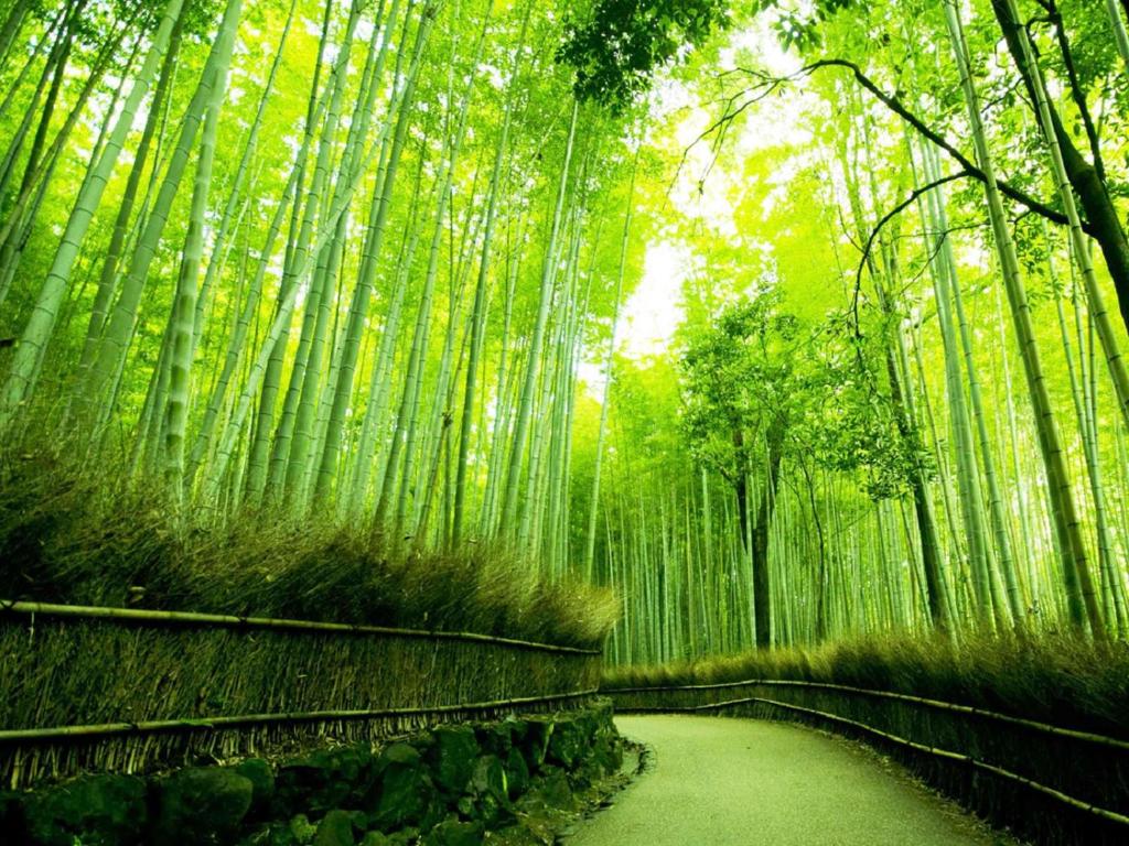 京都hotel Station Kyoto 21 年最新房價 京都hotel Station Kyoto 21 年最新房價