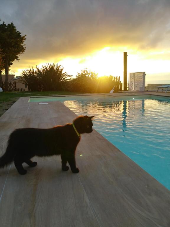 B&B Villa Di Giorgi - 16