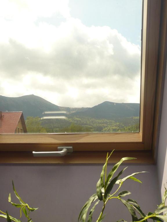 Wynajem Pokoi Willa Pod Lasem - Double Room
