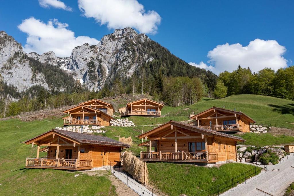 Příroda nedaleko prázdninového domu