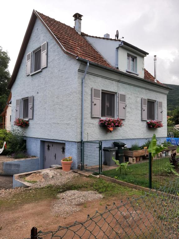 Gîte les chiwawas d'Alsace – photo 6