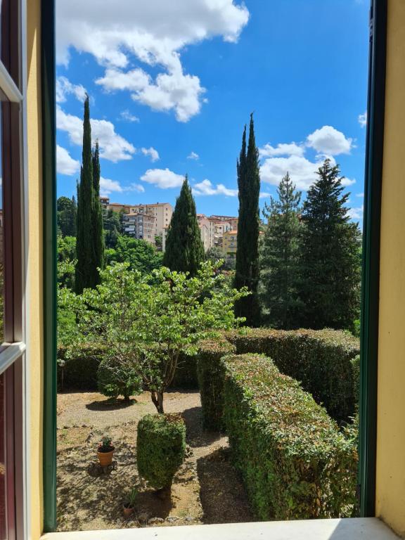 a window view of a garden with bushes and trees at Villa Zara in Siena