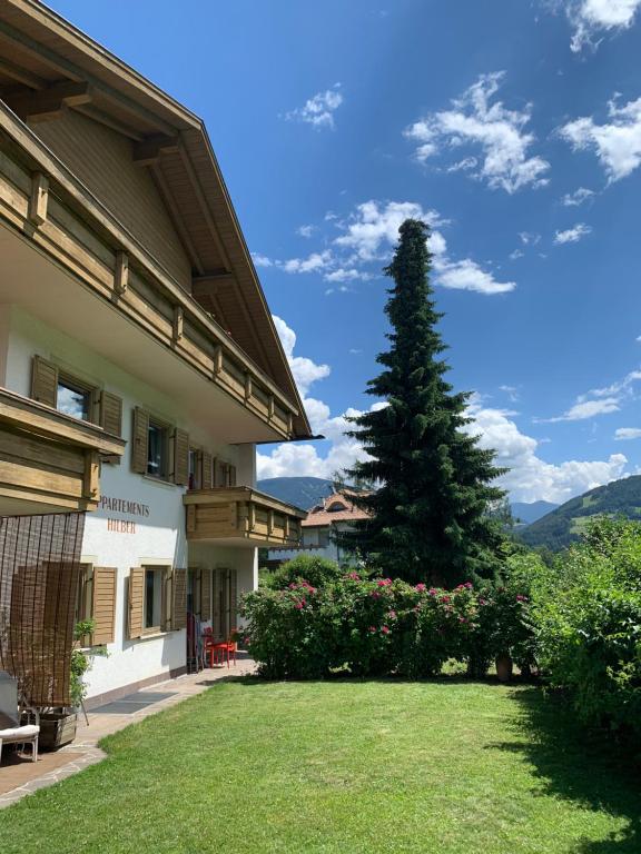 a pine tree in a yard next to a building at Appartments Hilber in Brunico