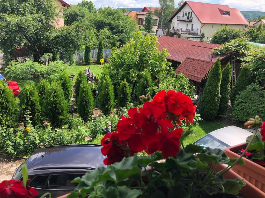 une voiture garée dans un jardin avec des fleurs rouges dans l'établissement Villa Nina, à Câmpina
