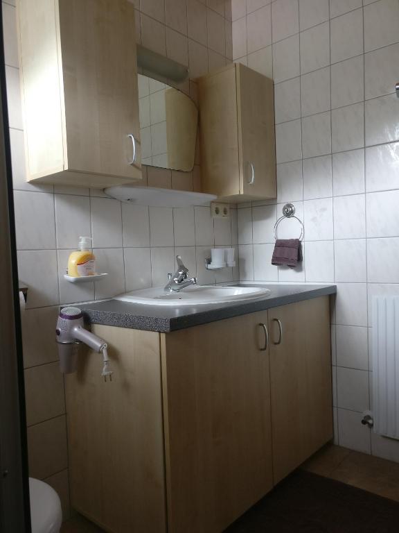 Kuchyňa alebo kuchynka v ubytovaní Appartement Catrin mit Sauna und E-Ladestation