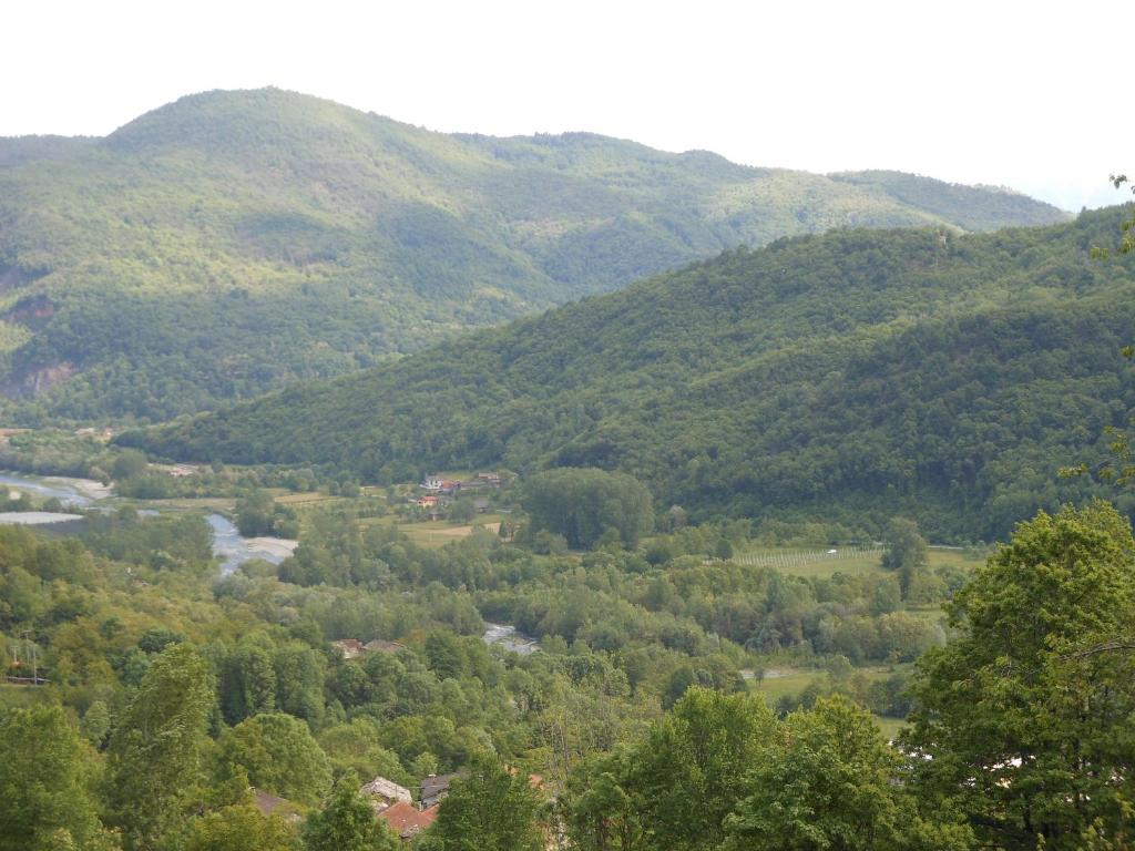 een uitzicht op een vallei met bomen en bergen bij Le Lasarde in Venasca