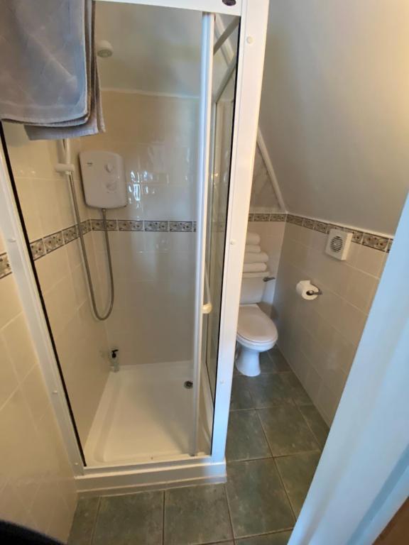 a shower in a bathroom with a toilet at The Sandhaven in Swanage