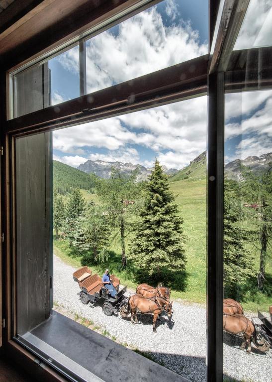 Příroda nedaleko hotelu