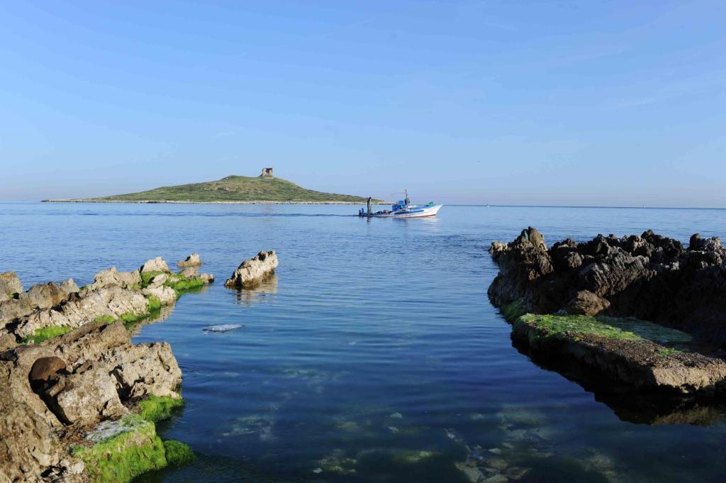 łódź w wodzie obok wyspy w obiekcie Isola bella w mieście Isola delle Femmine