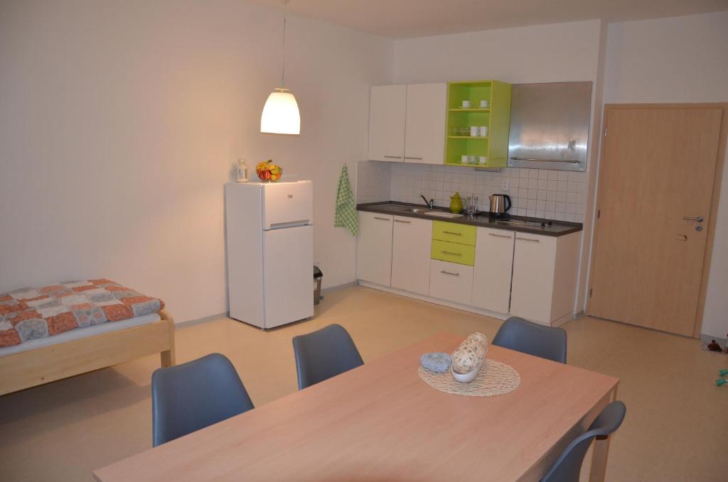 Kuchyň nebo kuchyňský kout v ubytování Apartmány Dalov