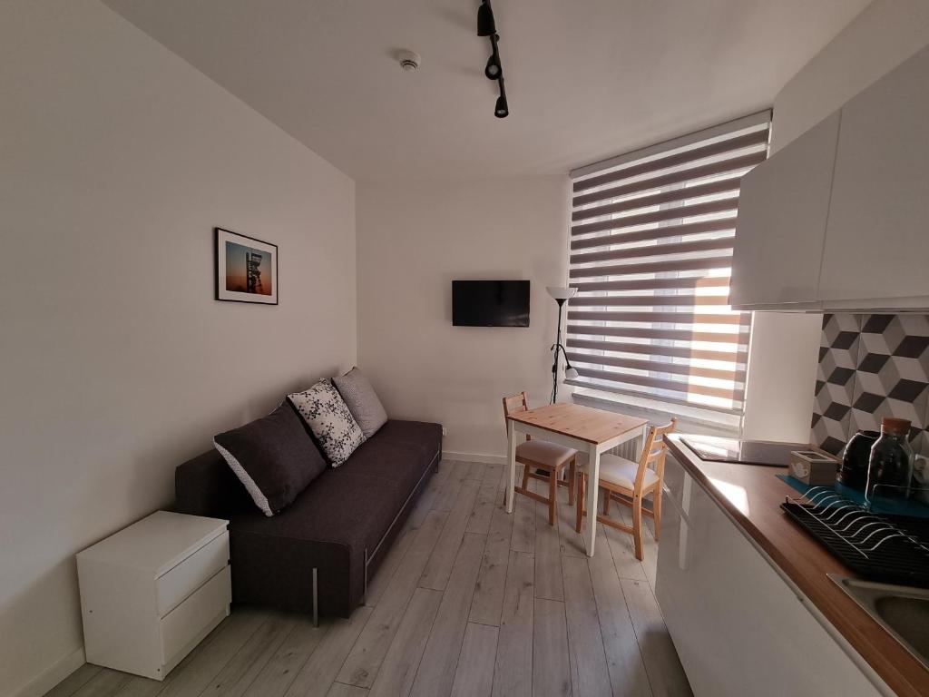 Televízia a/alebo spoločenská miestnosť v ubytovaní Apartamenty Katowice Stawowa 5