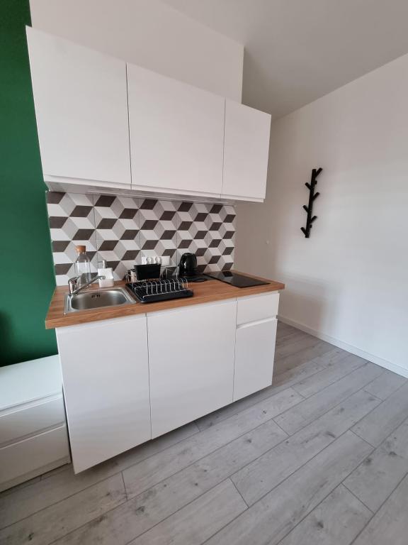 Kuchyňa alebo kuchynka v ubytovaní Apartamenty Katowice Stawowa 5