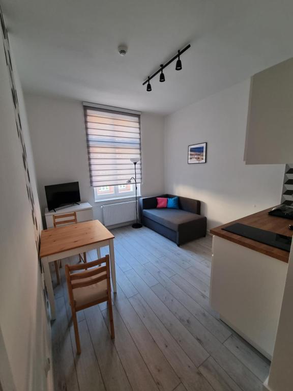 Televízia a/alebo spoločenská miestnosť v ubytovaní Apartamenty Katowice Stawowa 5