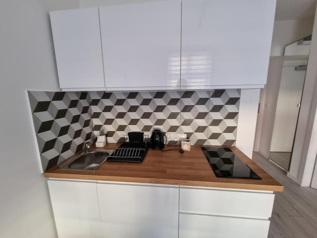Kuchyňa alebo kuchynka v ubytovaní Apartamenty Katowice Stawowa 5