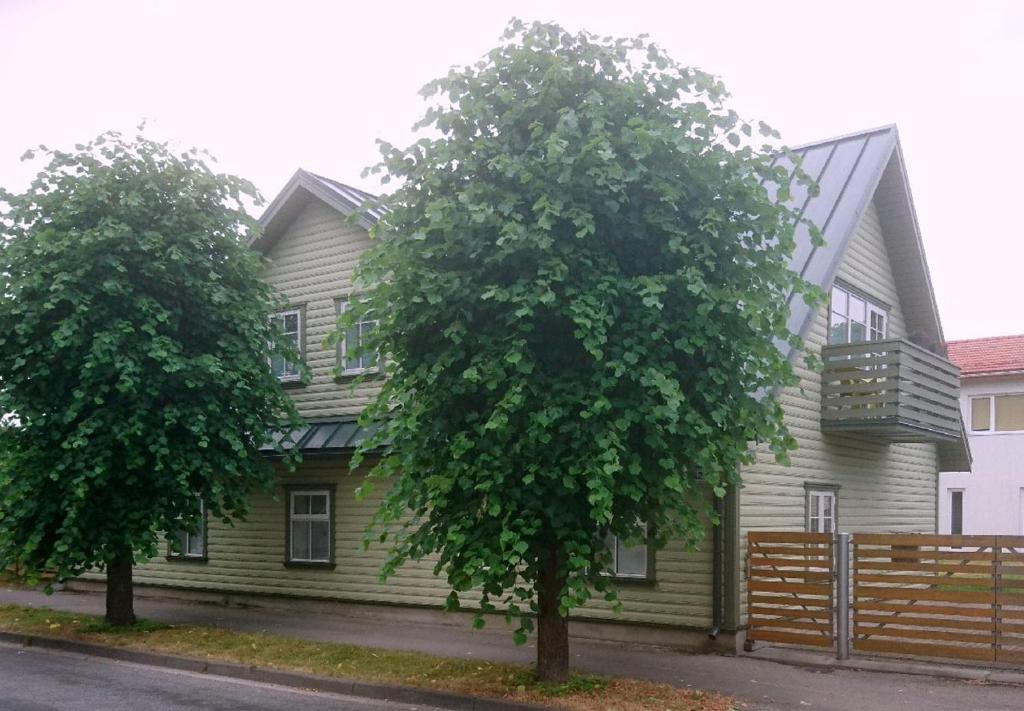 dom z dwoma drzewami przed nim w obiekcie Rönne Majutus w Parnawie