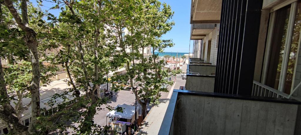 Příroda nedaleko hotelu