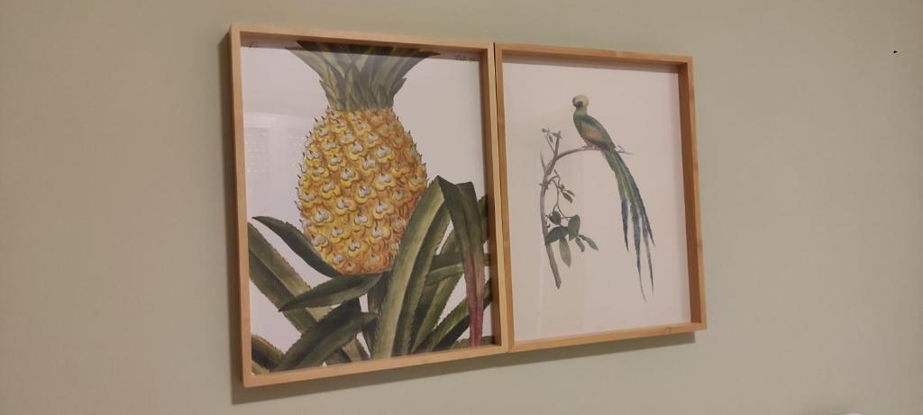 Fotografie z fotogalerie ubytování Hotel Impero v Rimini