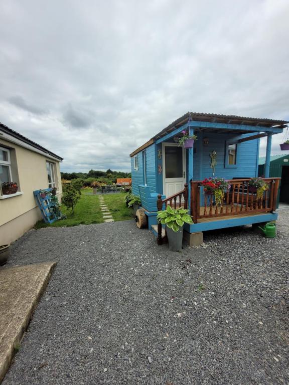 a blue tiny house parked in a gravel driveway at Wedger's Hut in Nenagh