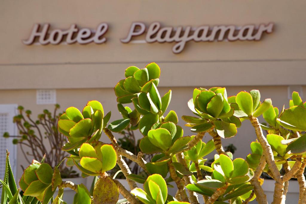 Certifikát, ocenenie alebo iný dokument vystavený v ubytovaní BJ Playamar Hotel & Apartamentos