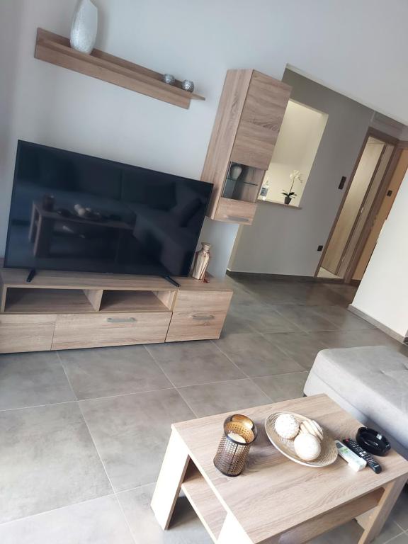TV a/nebo společenská místnost v ubytování Felou's House 1