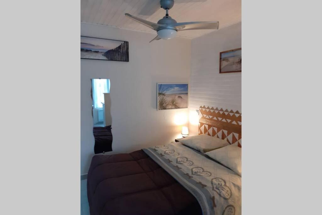 a bedroom with a bed and a ceiling fan at studio idéalement situé sur le Bassin d'Arcachon in La Teste-de-Buch