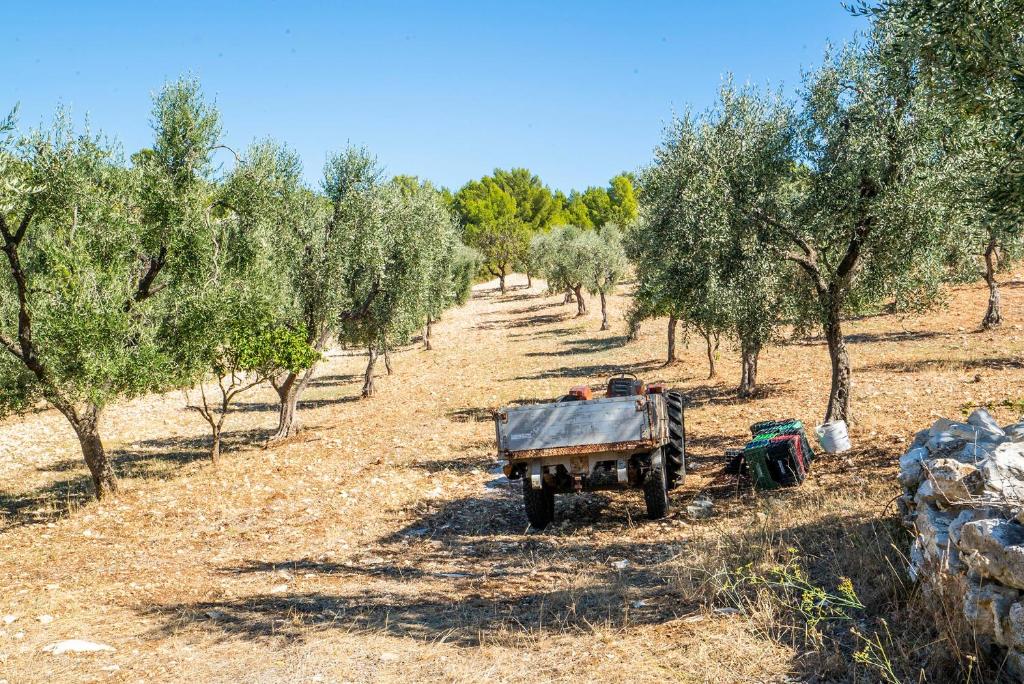 an old truck parked in a field with trees at Casa Colletta Vieste in Vieste