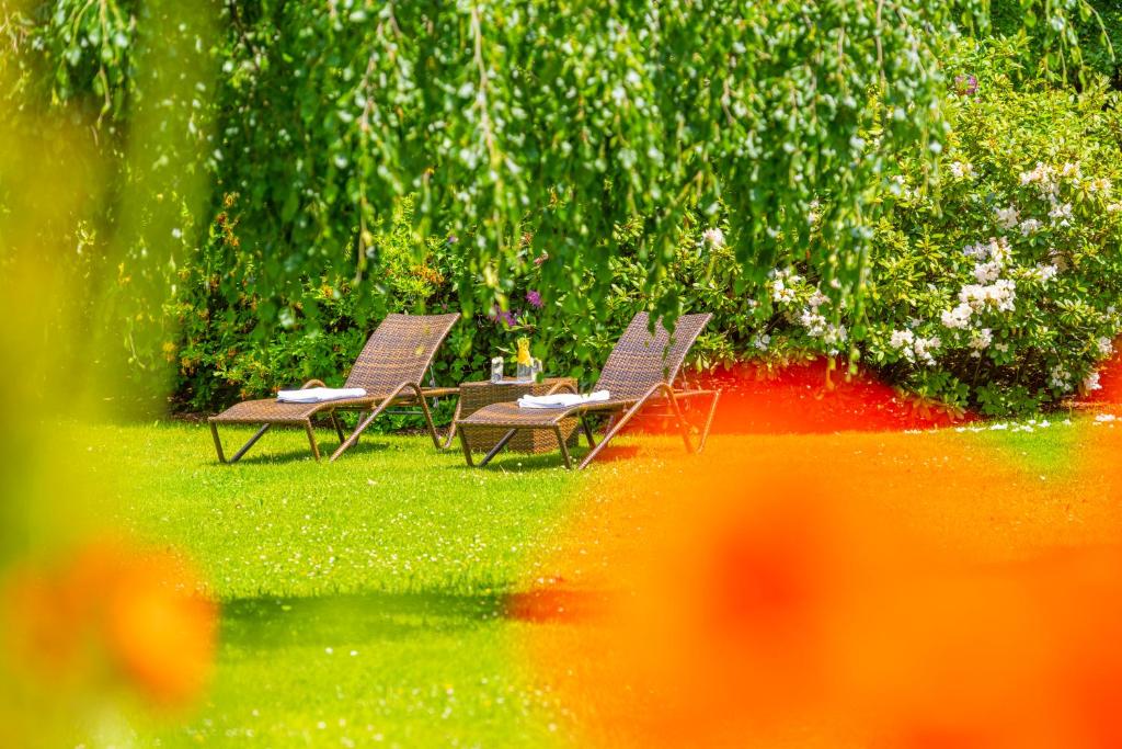 Zahrada ubytování EUROPÄISCHER HOF Aktivhotel & Spa