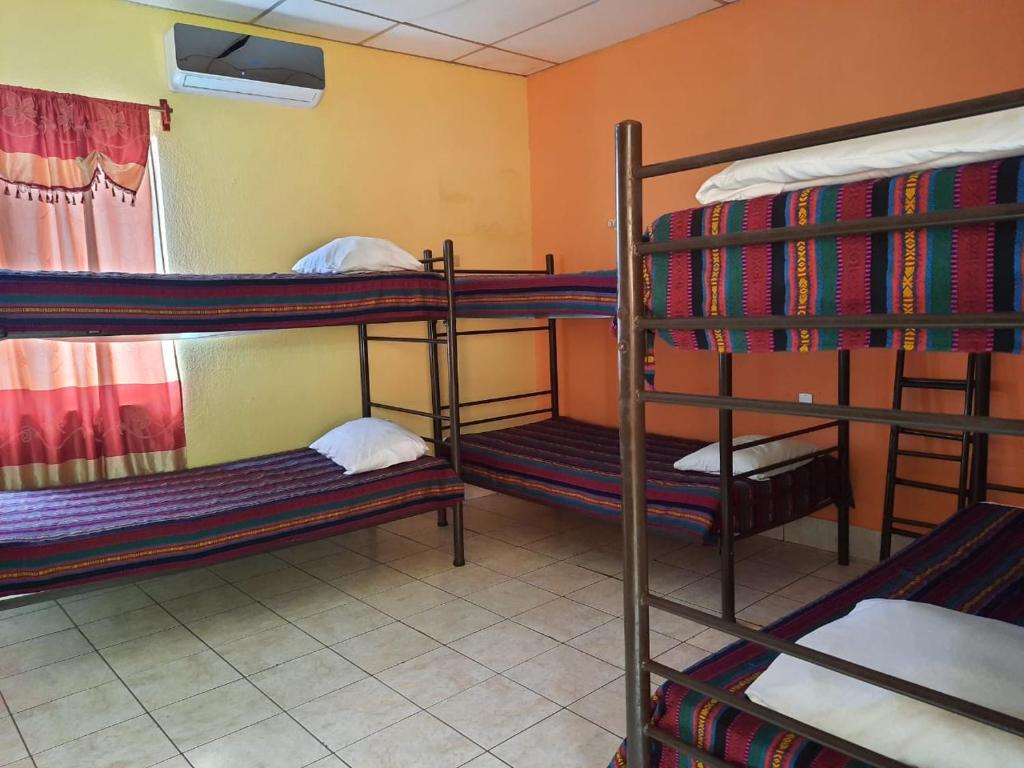 a group of bunk beds in a room at Green Monkey Hostel in Flores