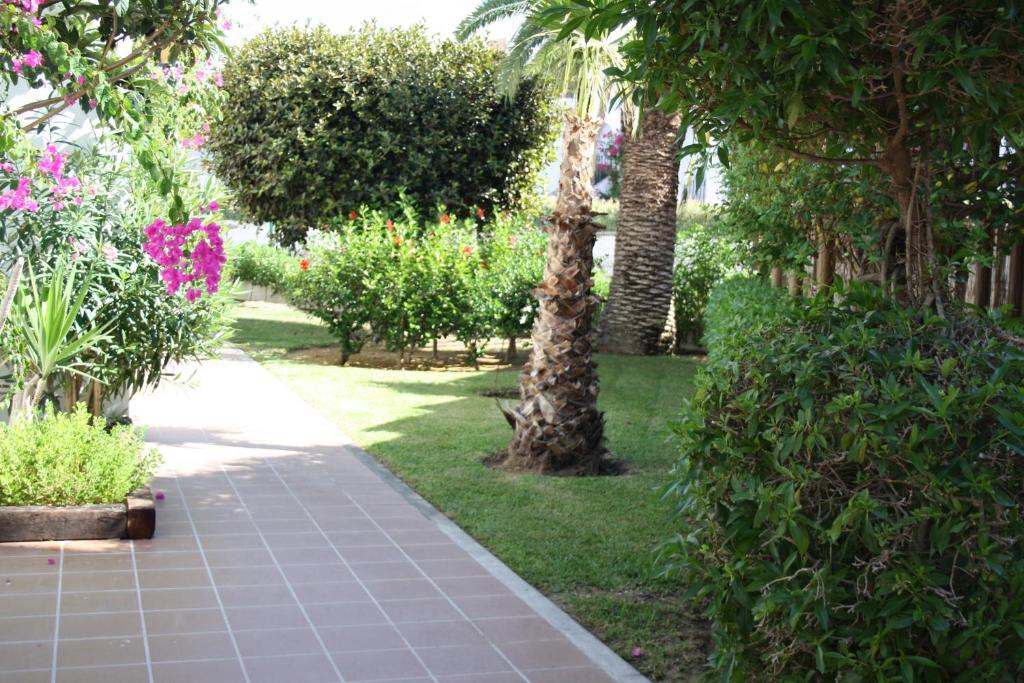 Jardín al aire libre en Apartamentos Torrelaguna
