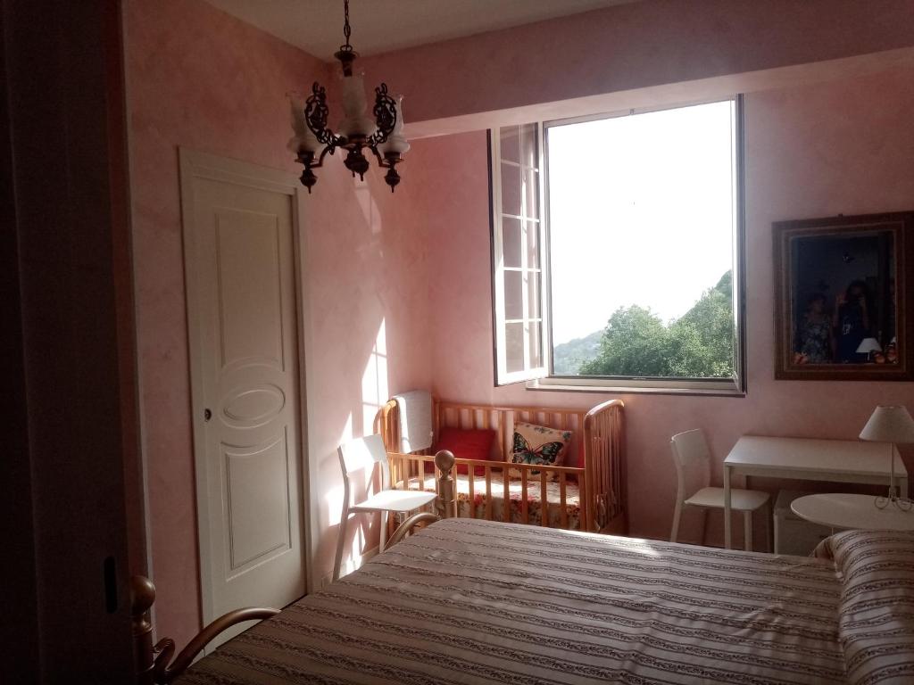 La vecchia fattoria - 15