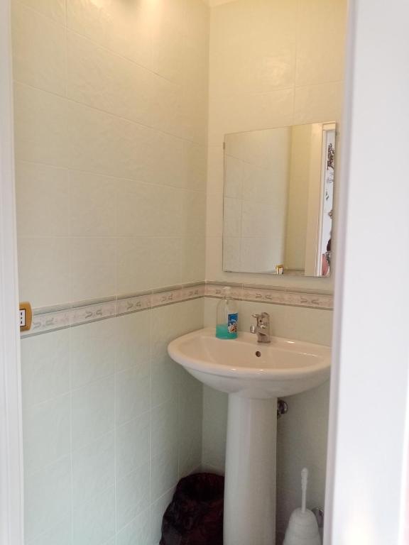 La vecchia fattoria - 16