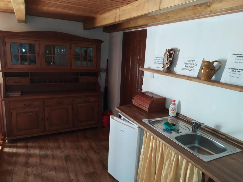 Kuchyň nebo kuchyňský kout v ubytování Penzion Čech