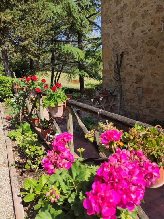 Zahrada ubytování Antico Podere Il Bugnolo