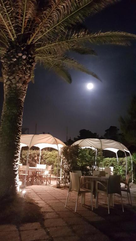 Fotografie z fotogalerie ubytování Hotel Silvi v destinaci Silvi Marina