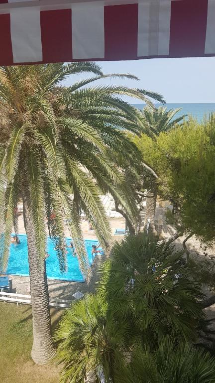 Bazén v ubytování Hotel Silvi nebo v jeho okolí