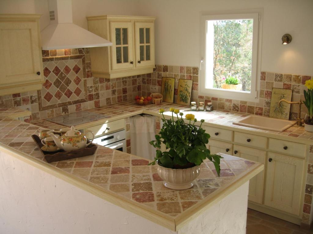 una cocina con una encimera con una maceta. en Charmante Petite Maison & Spa à Bulles & Grande Terrasse Plein SUD !, en Entrecasteaux