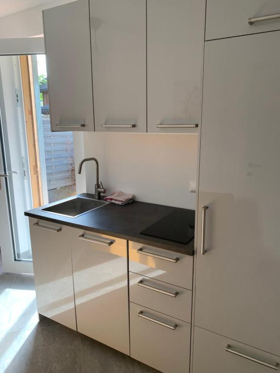 مطبخ أو مطبخ صغير في Haus Kleinbichler