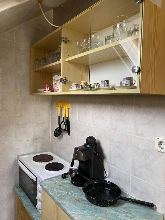 Kuchyň nebo kuchyňský kout v ubytování Birta Apartman