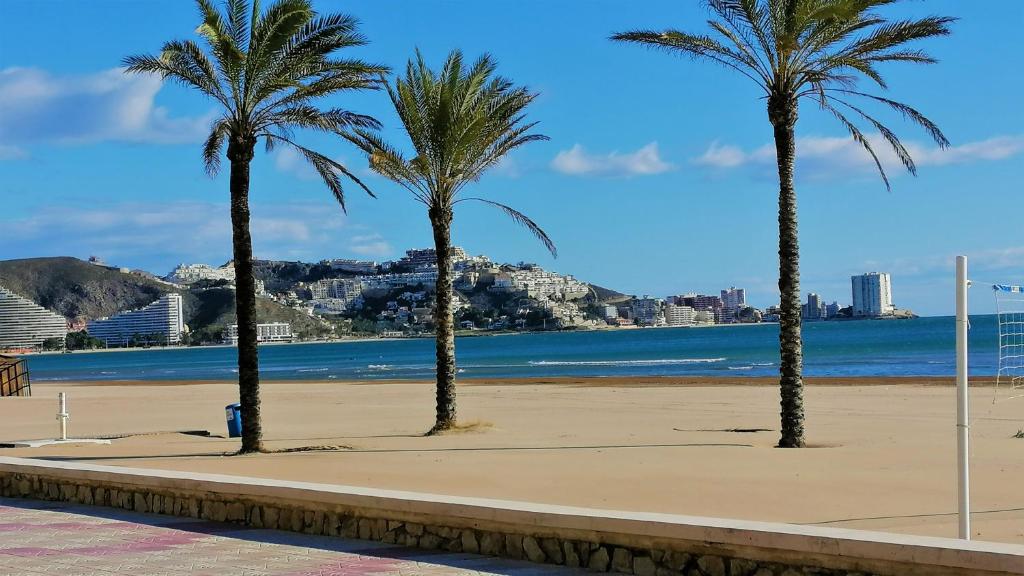 Fotografie z fotogalerie ubytování Lavanda v destinaci Cullera