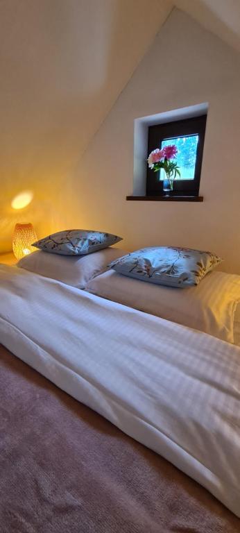 Agroturystyka Trzcińsko Karkonosze - Villa De Dos Dormitorios