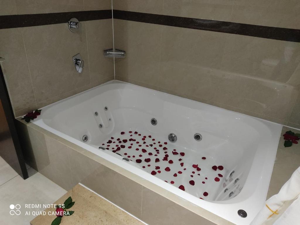 Fotografie z fotogalerie ubytování Hotel SanJo v destinaci San José Iturbide
