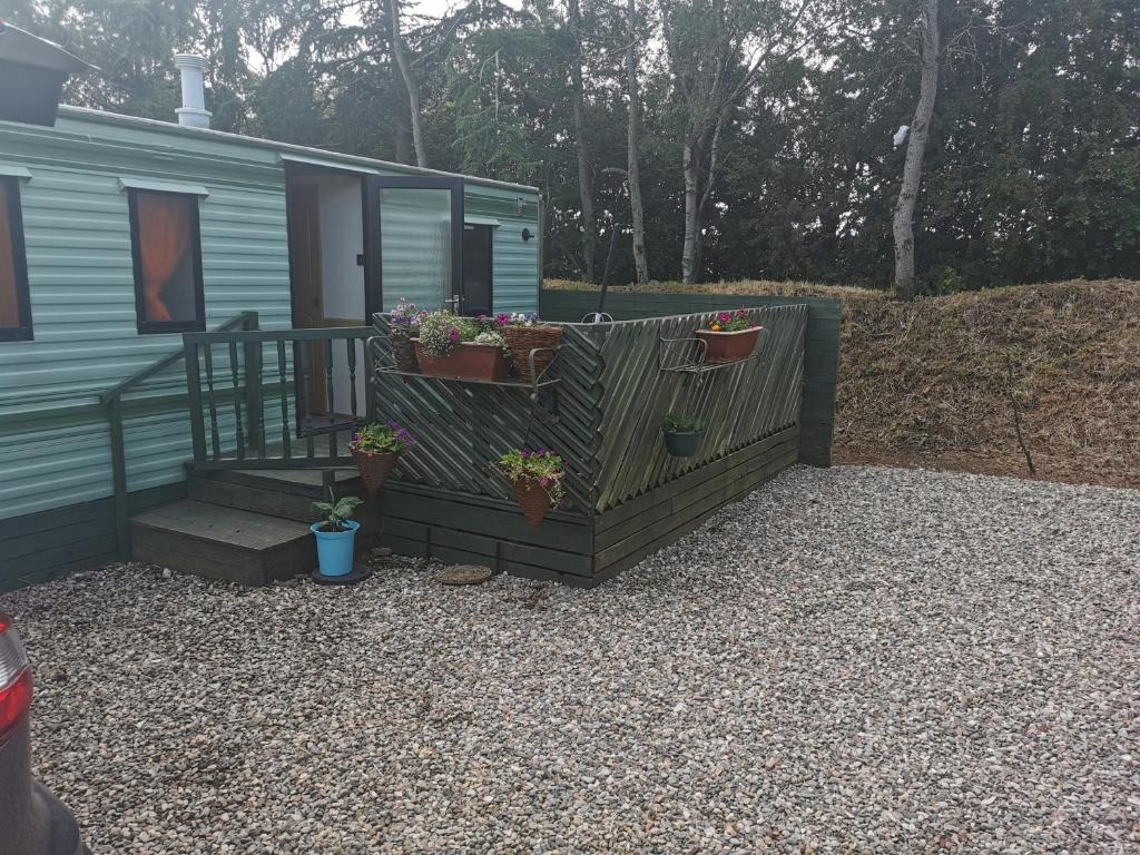 a tiny house with potted plants on the porch at Lochlands caravan park X(6) in Forfar