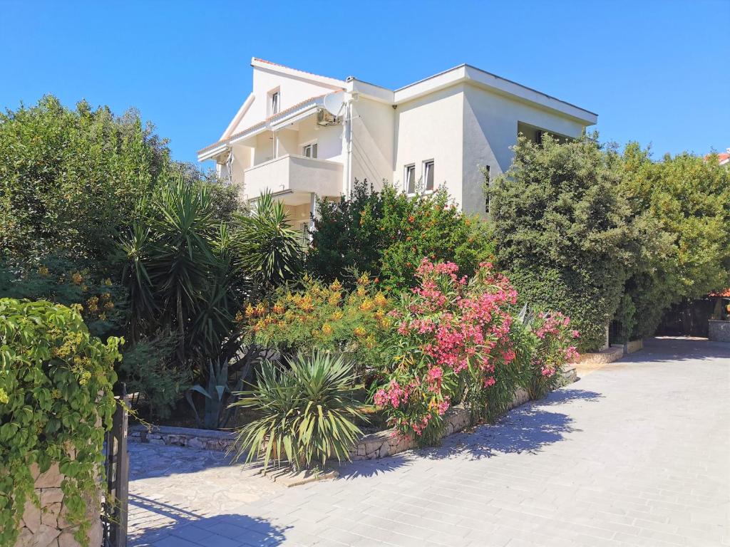 Afbeelding uit fotogalerij van Lenka Apartments II in Novalja